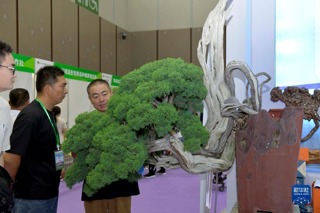 捕鱼达人3d官网下载